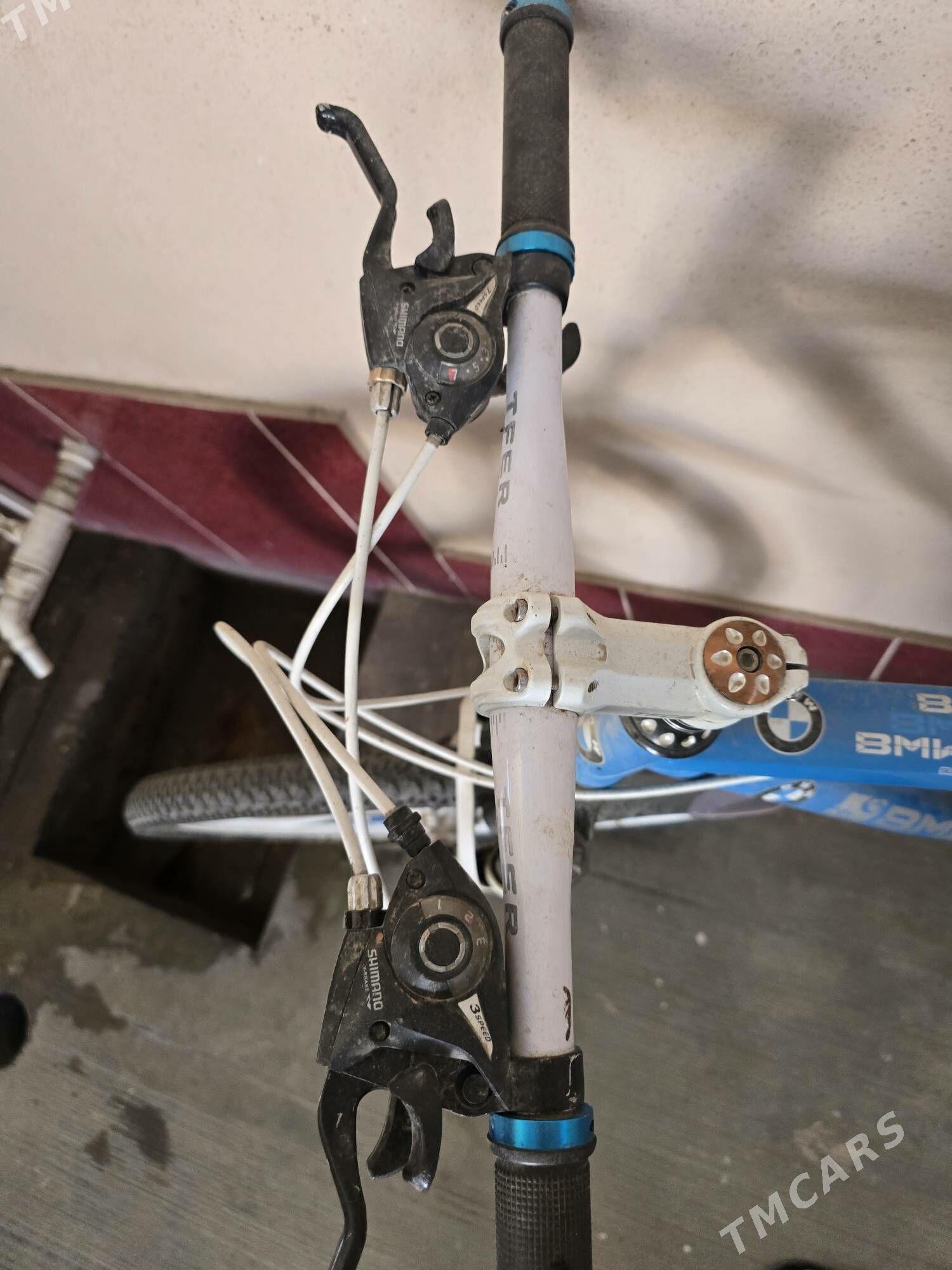 Tiger 26lik - Gypjak - img 2