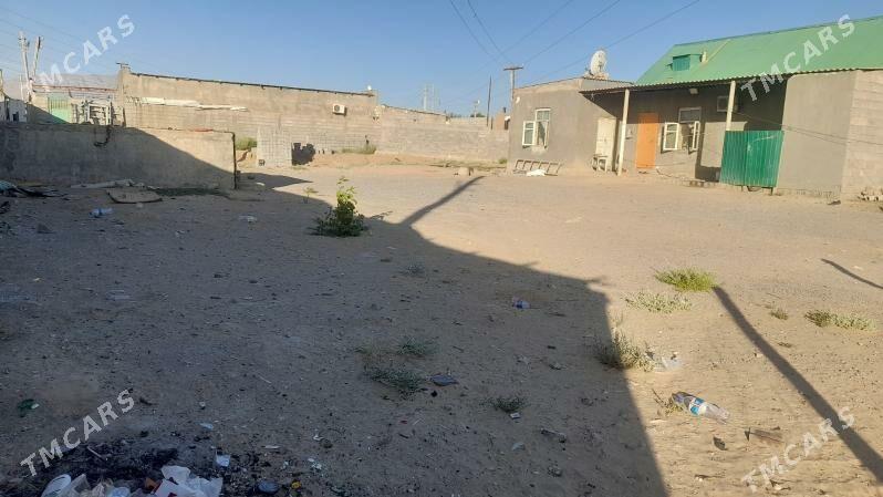 Talhanly - Гёкдепе - img 2