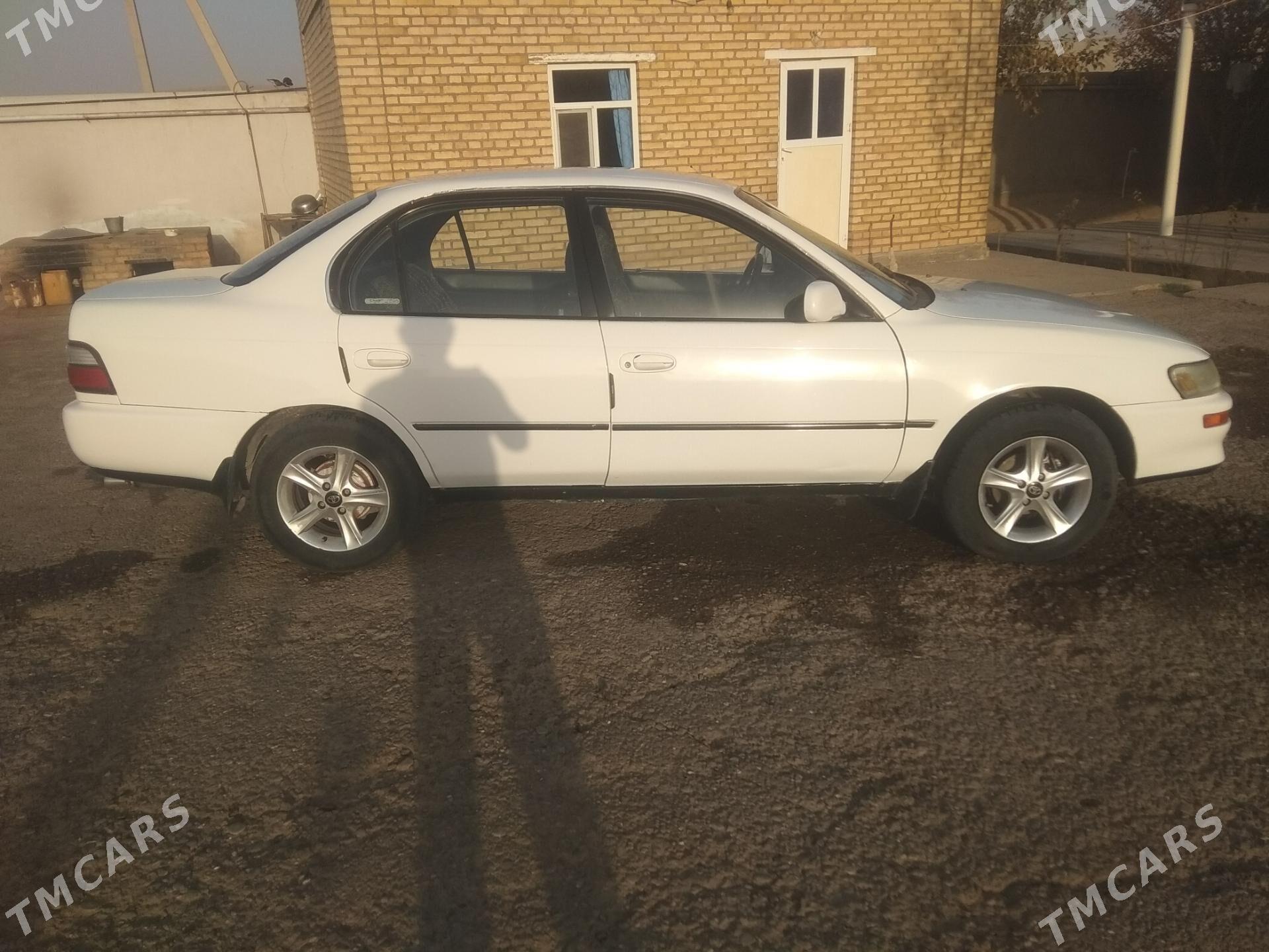 Toyota Corolla 1997 - 47 000 TMT - Serhetabat (Guşgy) - img 2