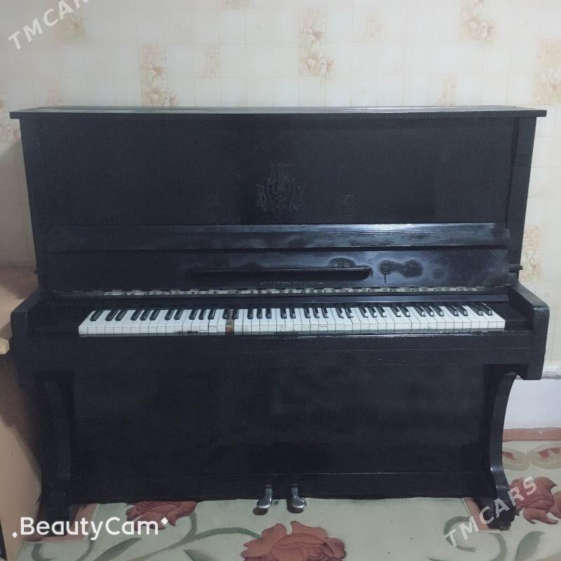 pianina - Серахс - img 2