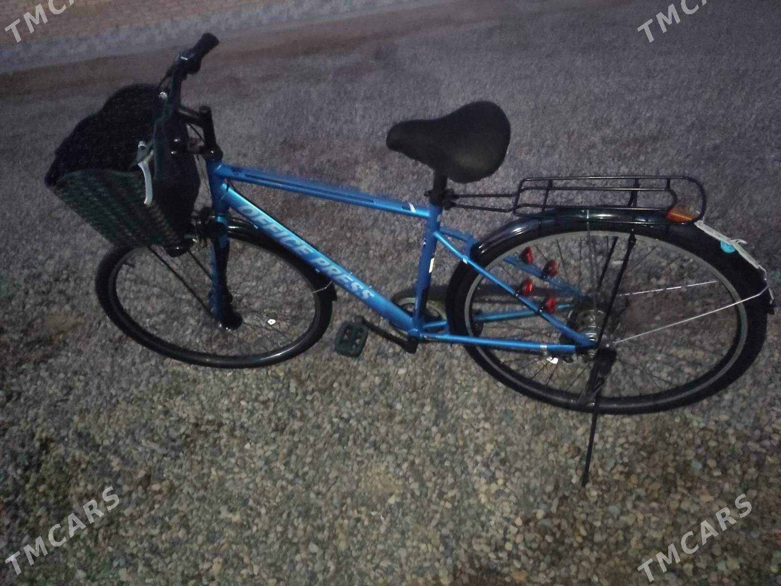 28lik welsepit - Mary - img 1