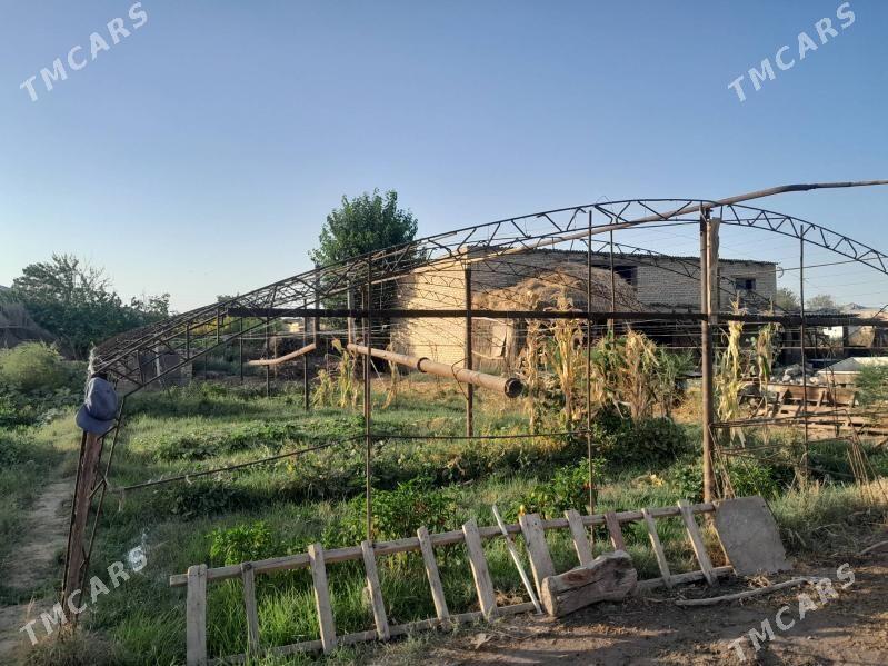 tiplisa - Сакар - img 2