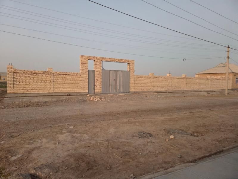 satlyk howly mellek - Sakarçäge - img 5