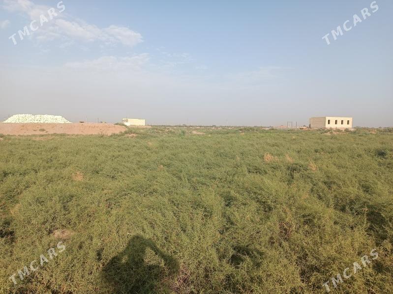 Bosh mellek - Mary - img 2