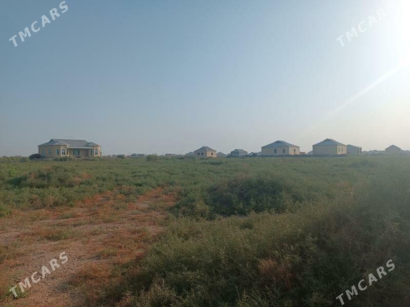 Bosh mellek - Mary - img 1