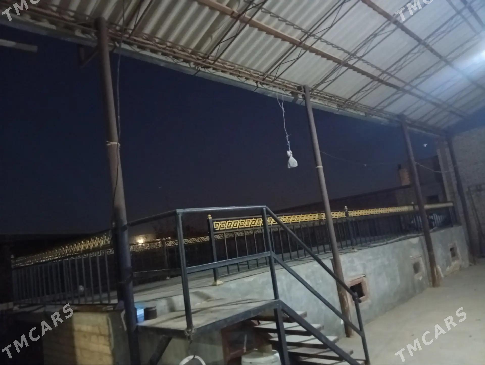 Howly jaý - Çärjew - img 8