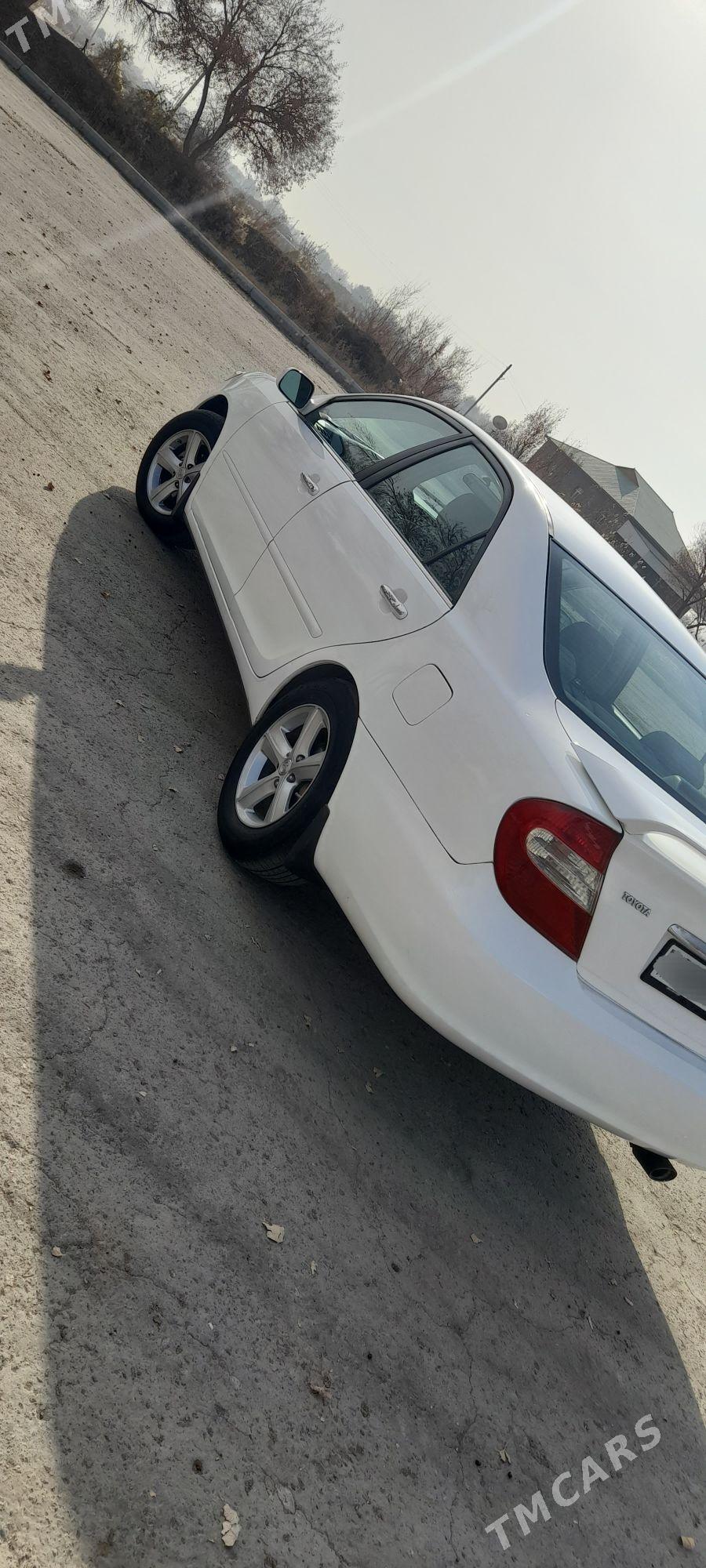 Toyota Camry 2003 - 162 000 TMT - Gurbansoltan Eje - img 3