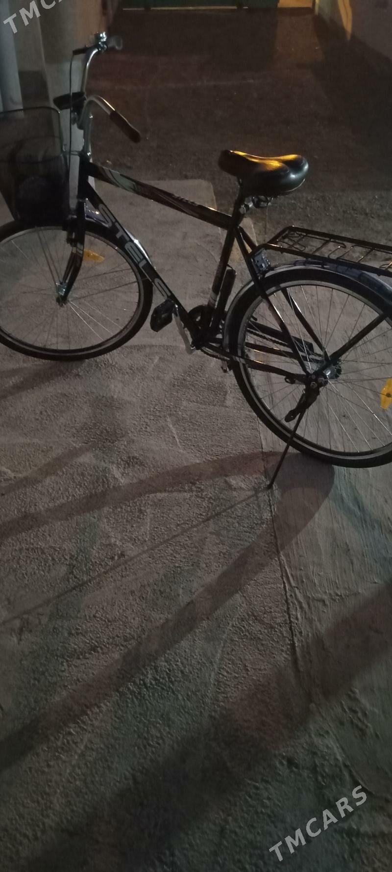 tigir - Gyzylarbat - img 3