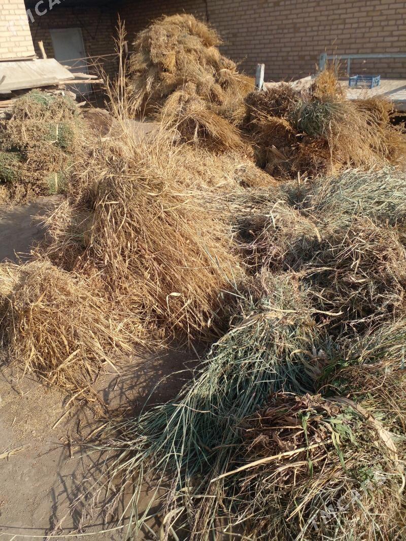 ot bar - Керки - img 3