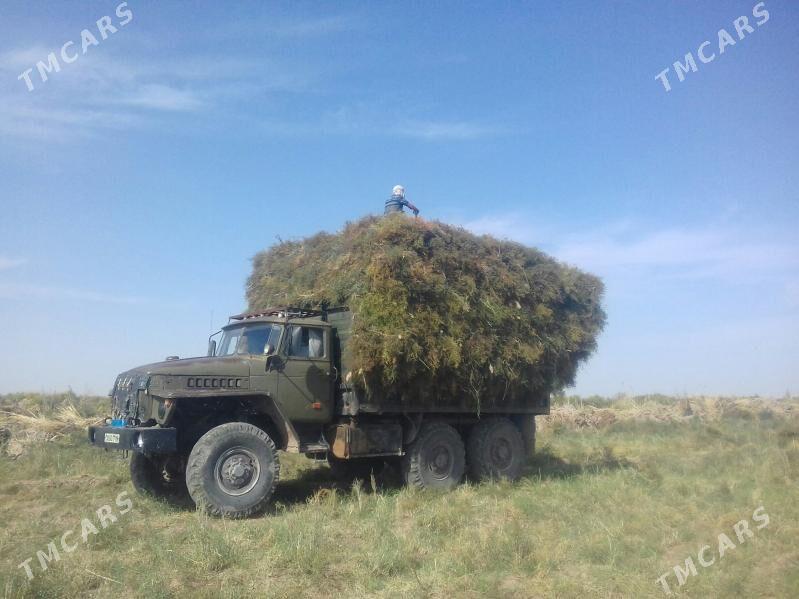 Ural 4320 1980 - 110 000 TMT - Sakarçäge - img 3