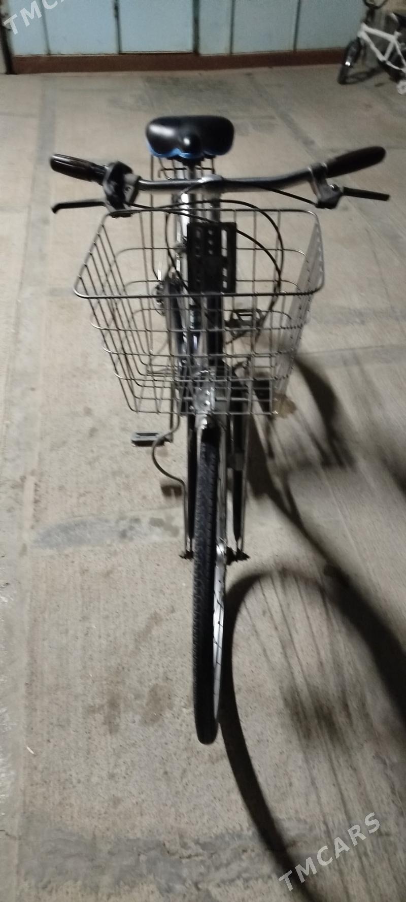 Tigir ýapaşka - Гарадамак Шор - img 1