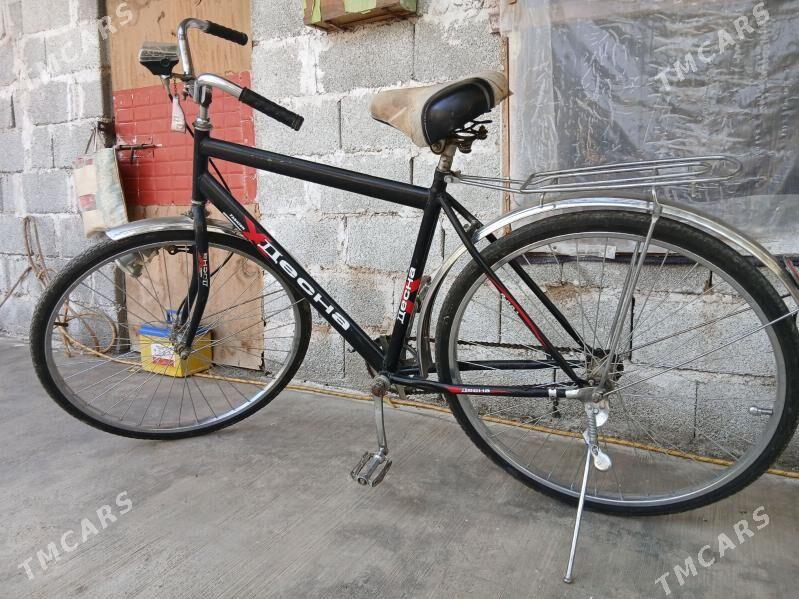 wesna - Ашхабад - img 1