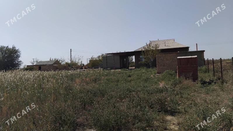 satlyk howly jaý - Ýolöten - img 2