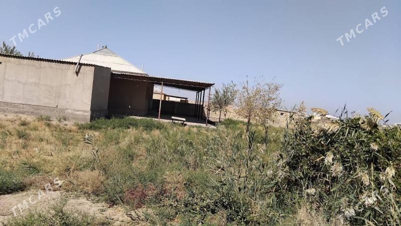 satlyk howly jaý - Ýolöten - img 1