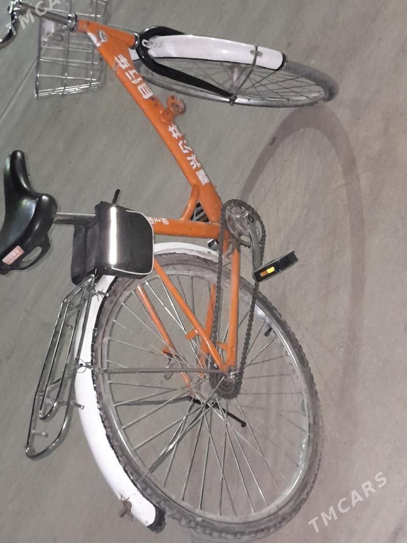 tigir - Анев - img 2