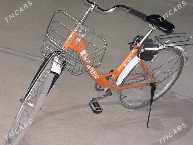 tigir - Анев - img 1