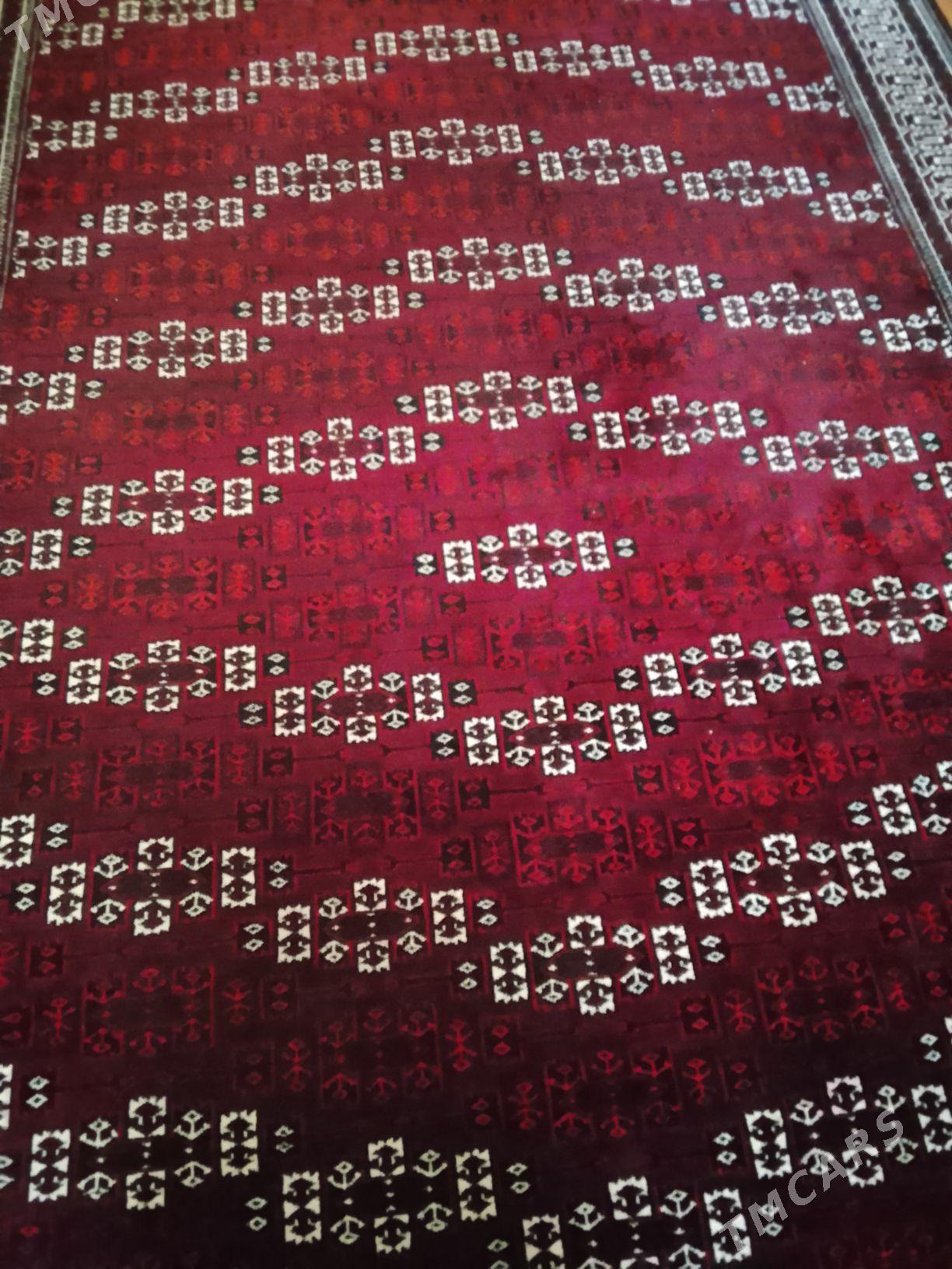 haly - Balkanabat - img 2