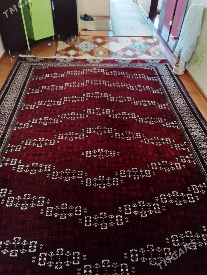 haly - Balkanabat - img 1