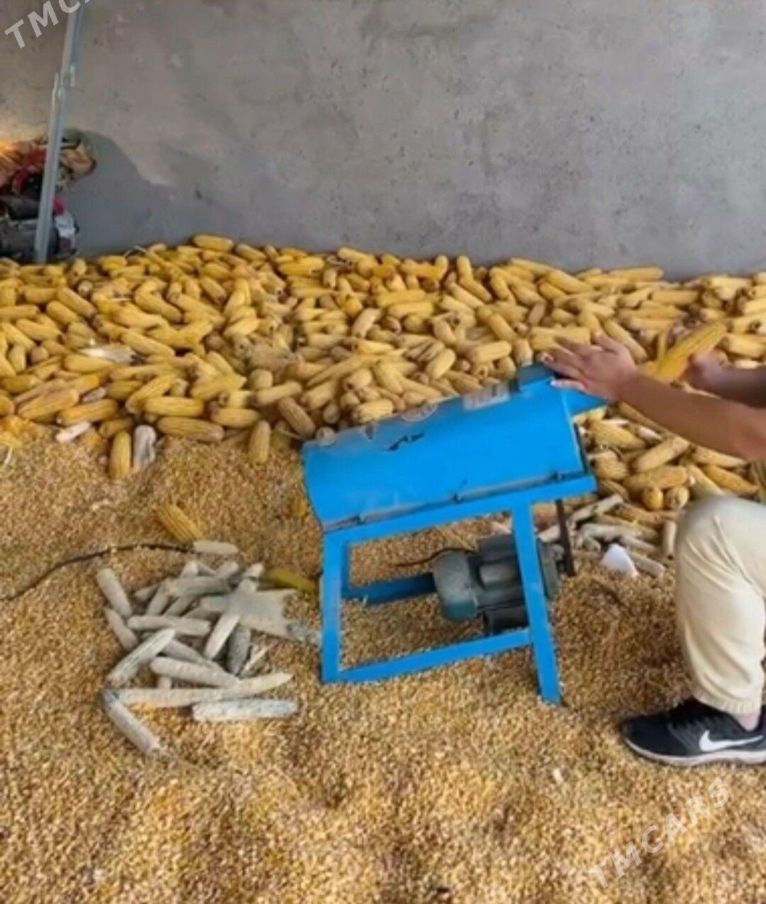 Mekge arassalaýan drobilka - Aşgabat - img 5