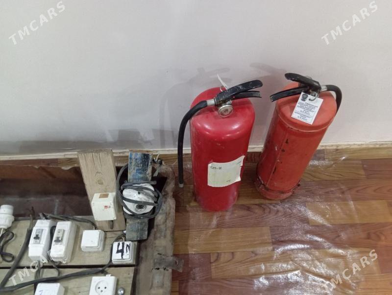 Tog ury - Murgap - img 2