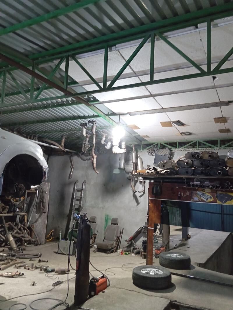 Arketek bacok. 1 500 TMT - Aşgabat - img 8