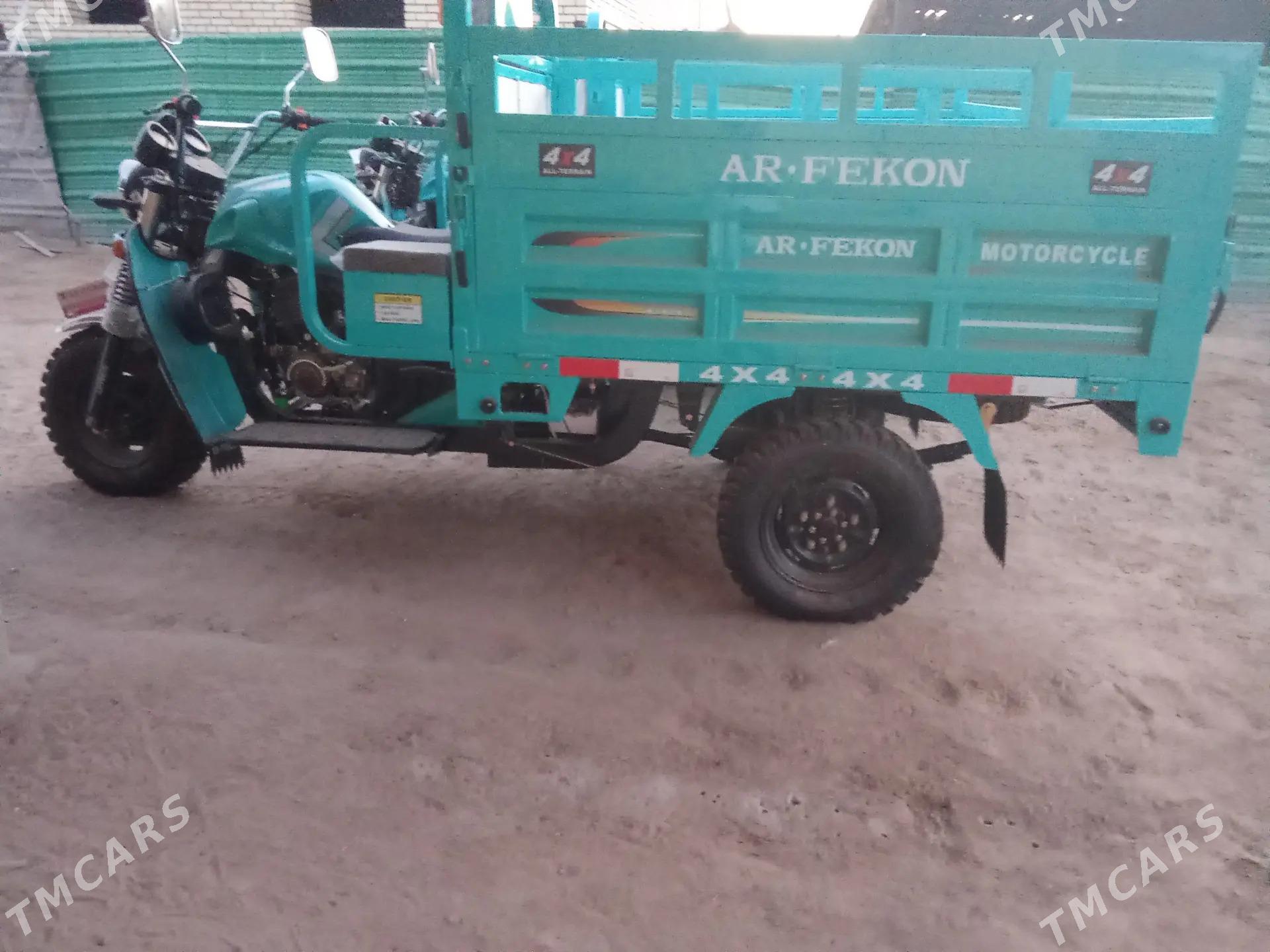 Fekon FK200-14G 2025 - 36 000 TMT - Sakarçäge - img 3