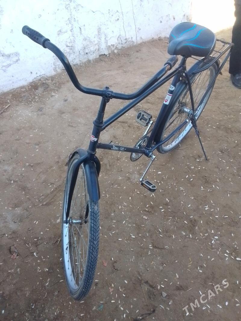 Welsapet - Görogly (Tagta) - img 3