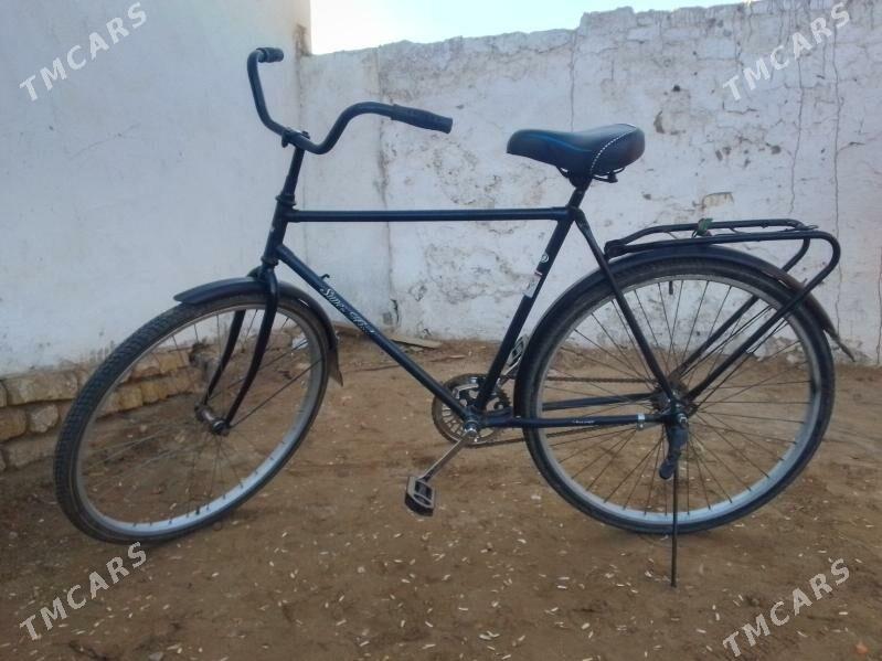 Welsapet - Görogly (Tagta) - img 5