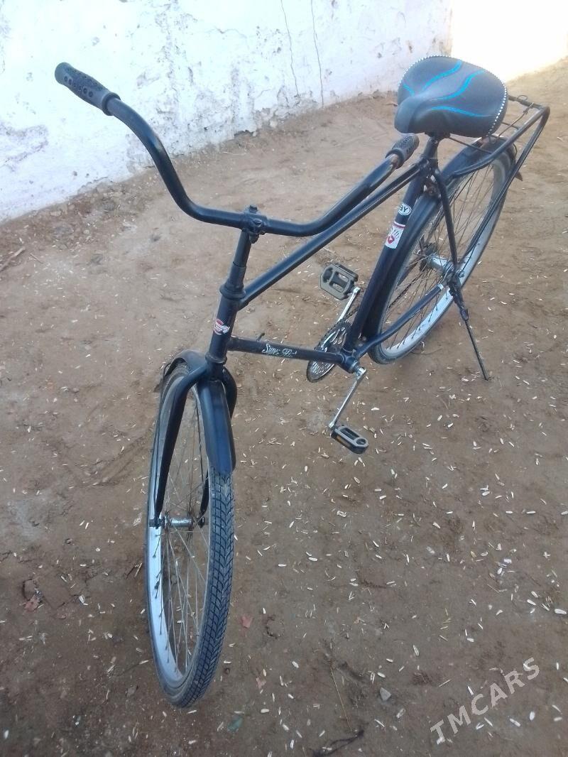 Welsapet - Görogly (Tagta) - img 4