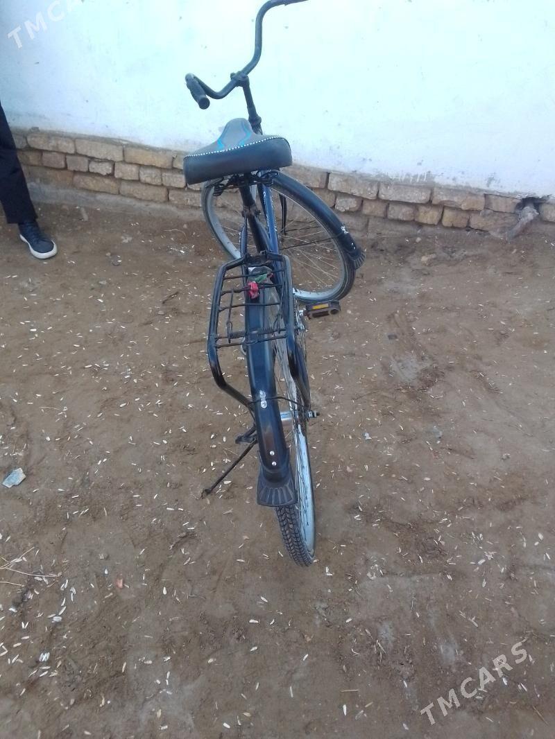 Welsapet - Görogly (Tagta) - img 6