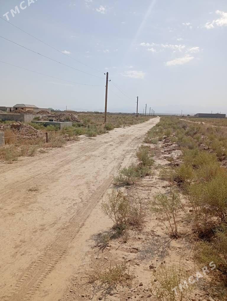 uçasga - Kaka - img 2