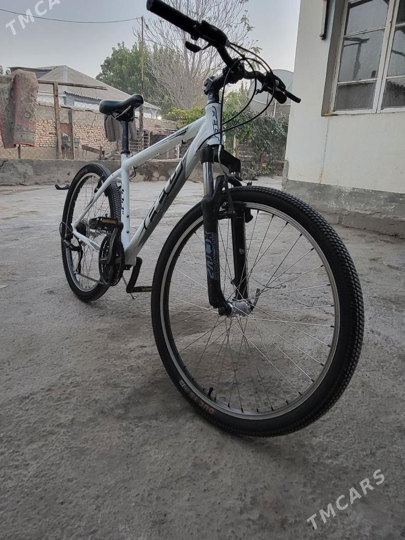 Tigir Germany - Кëши - img 4