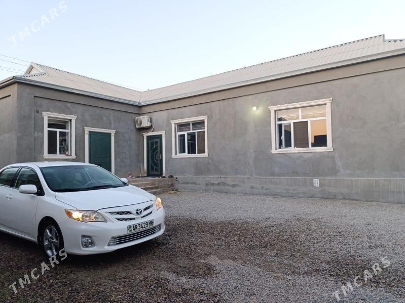 Mary-Şäher-Satlyk-Howly - Mary - img 2