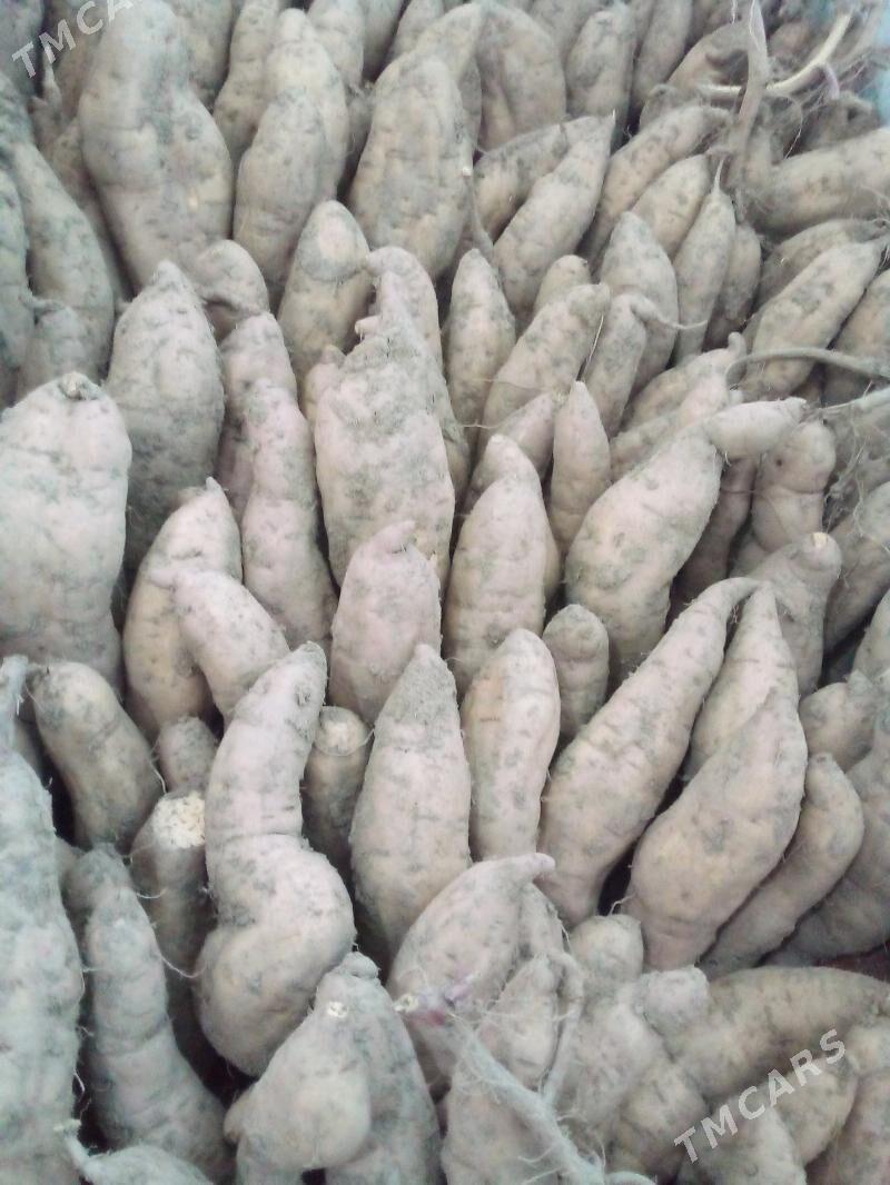 СЛАДКИЙ КАРТОШКА .БАТАТ - Туркменабат - img 4