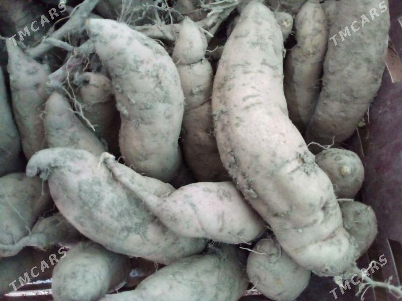 СЛАДКИЙ КАРТОШКА .БАТАТ - Туркменабат - img 6