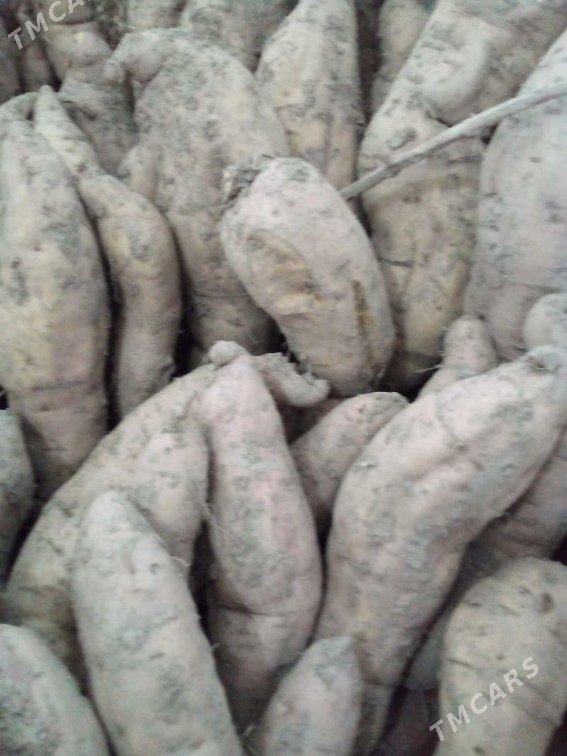 СЛАДКИЙ КАРТОШКА .БАТАТ - Туркменабат - img 8