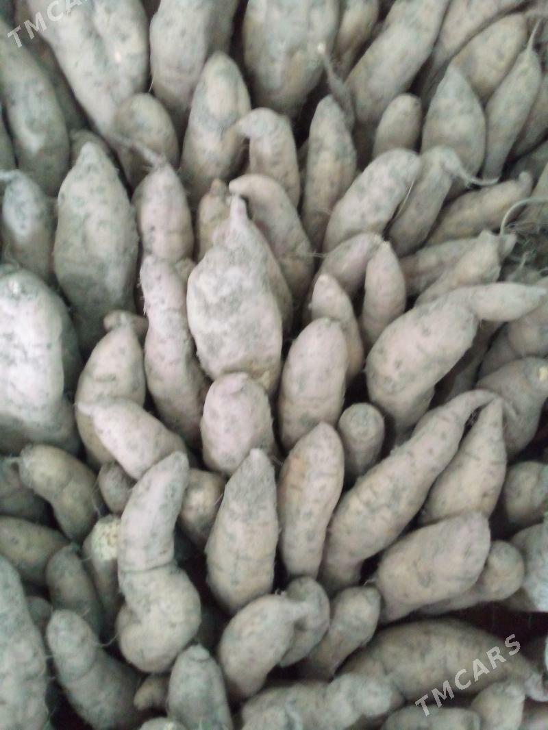 СЛАДКИЙ КАРТОШКА .БАТАТ - Туркменабат - img 9