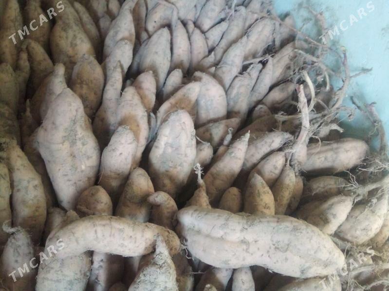 СЛАДКИЙ КАРТОШКА .БАТАТ - Туркменабат - img 5