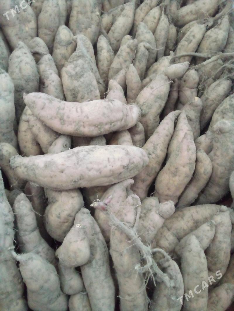 СЛАДКИЙ КАРТОШКА .БАТАТ - Туркменабат - img 7