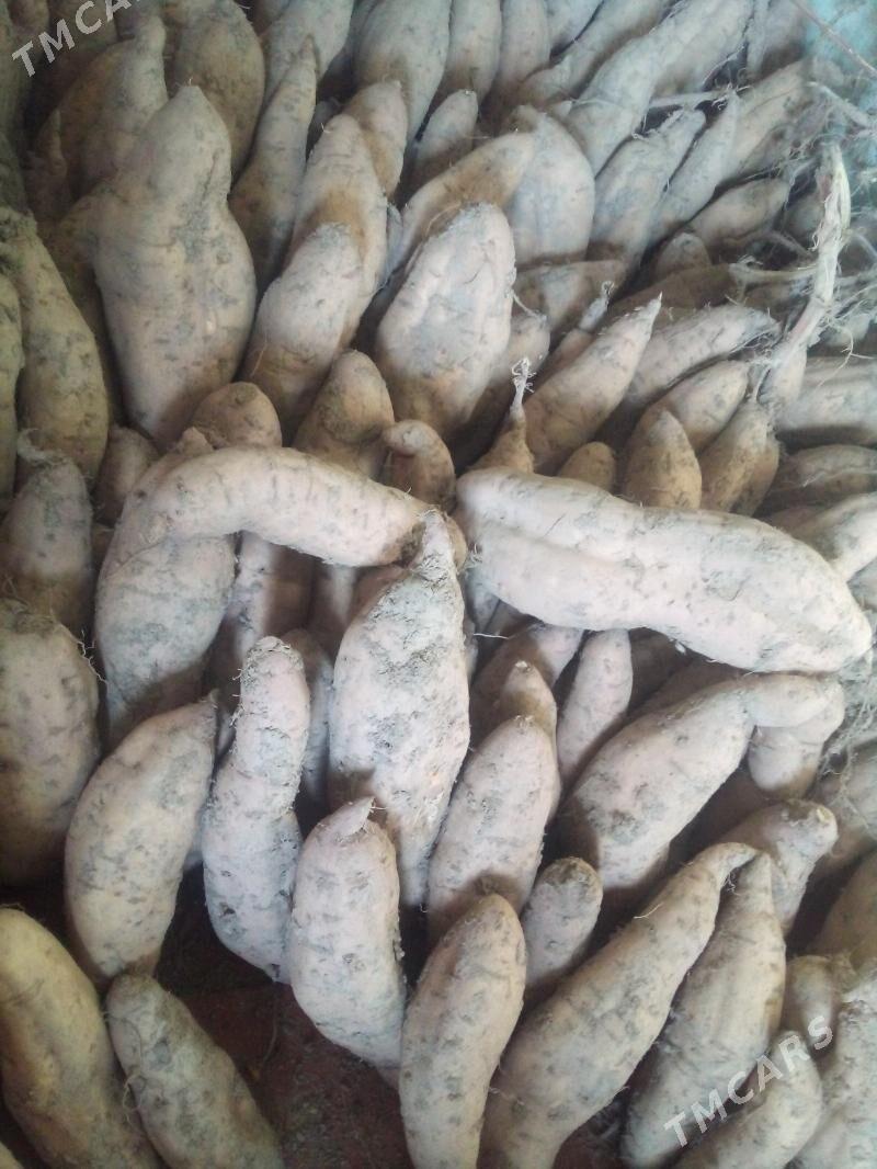 СЛАДКИЙ КАРТОШКА .БАТАТ - Туркменабат - img 3