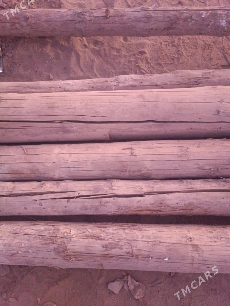 agac - Türkmenabat - img 2