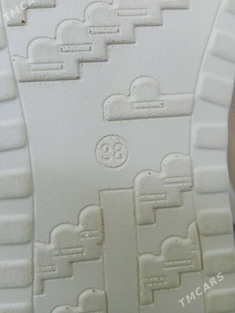 adik - Daşoguz - img 3