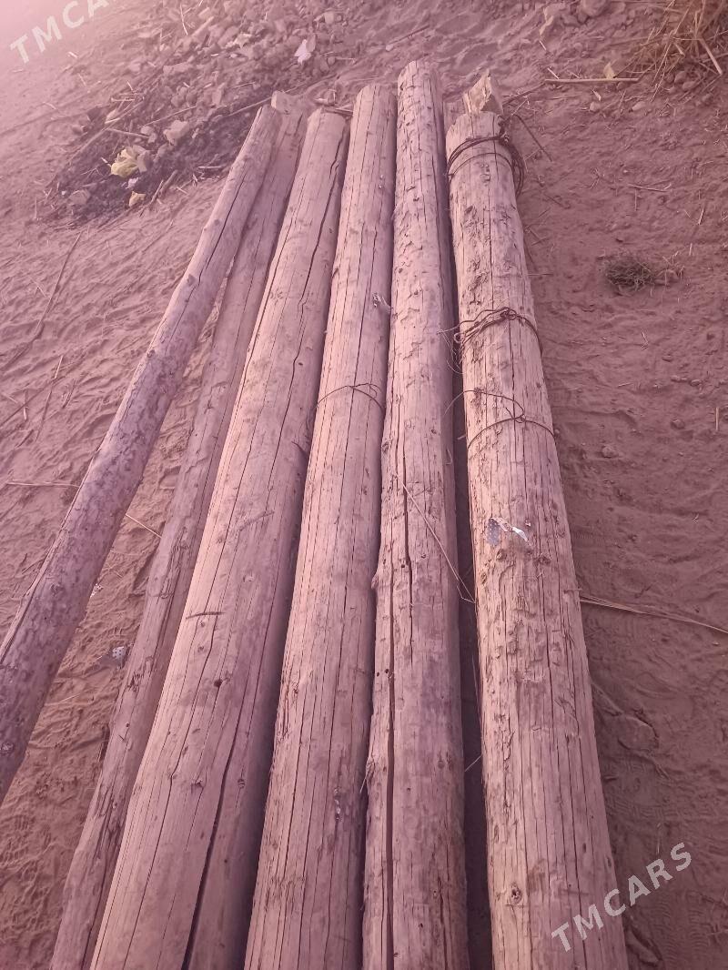 agac - Türkmenabat - img 1