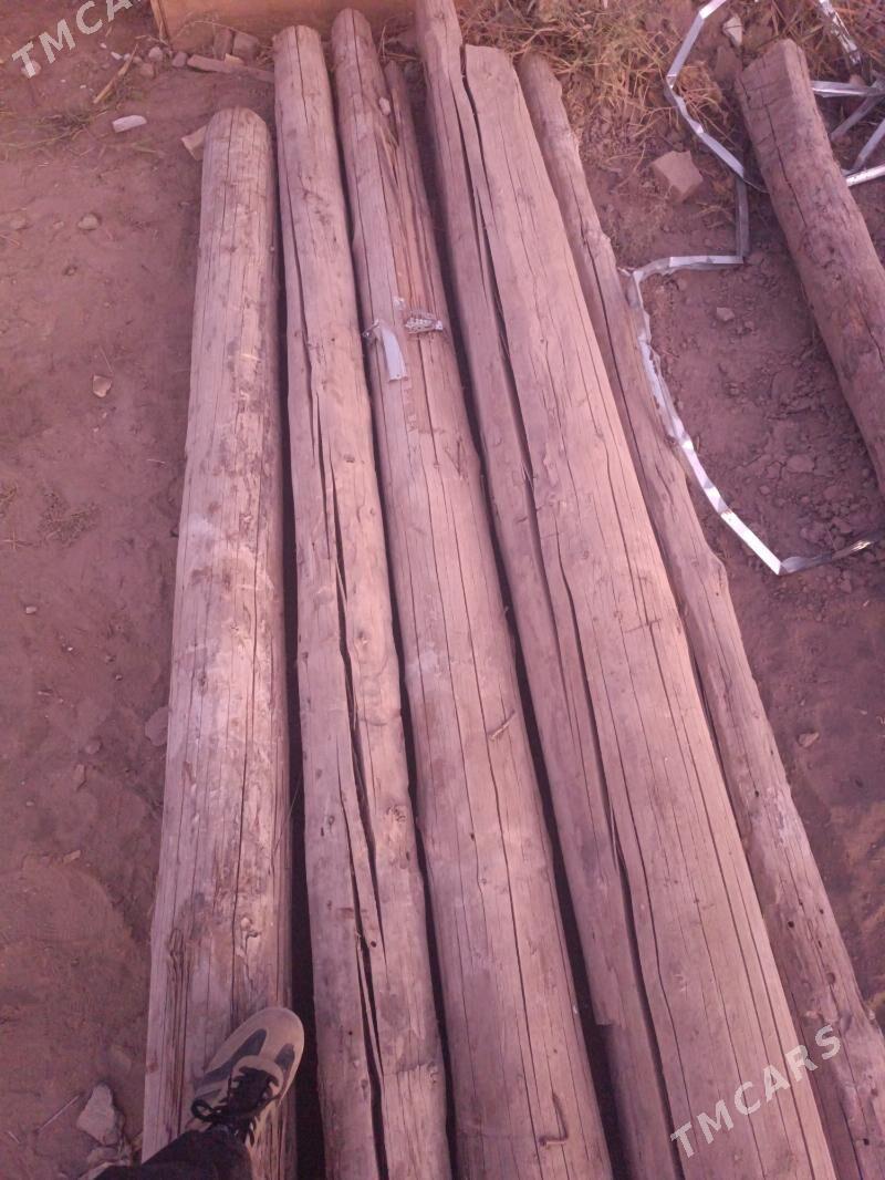 agac - Türkmenabat - img 5