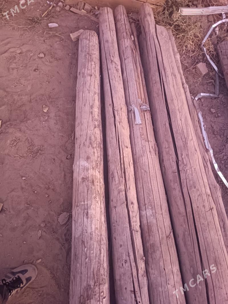 agac - Türkmenabat - img 3