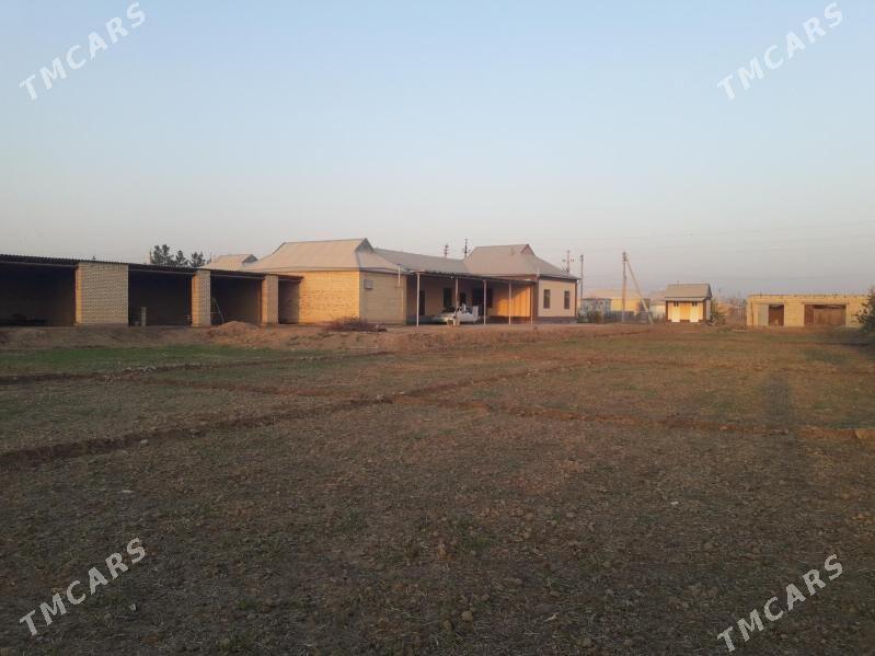 Plan jaý - Mary - img 3