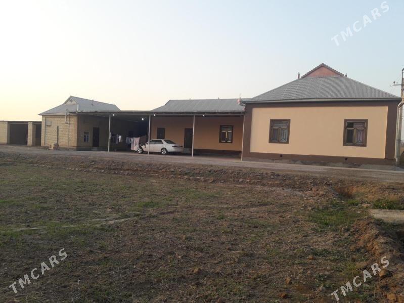 Plan jaý - Mary - img 1