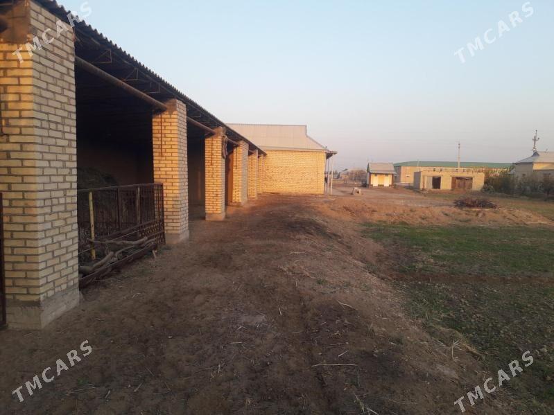 Plan jaý - Mary - img 4