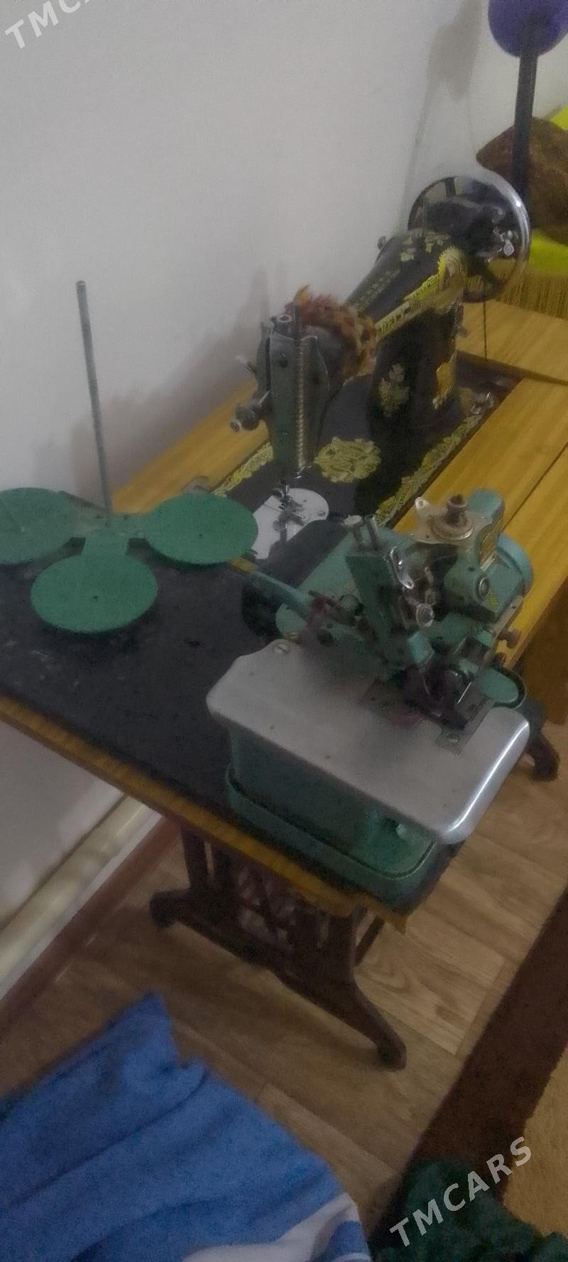 dikinmasyn - Яшлык - img 4