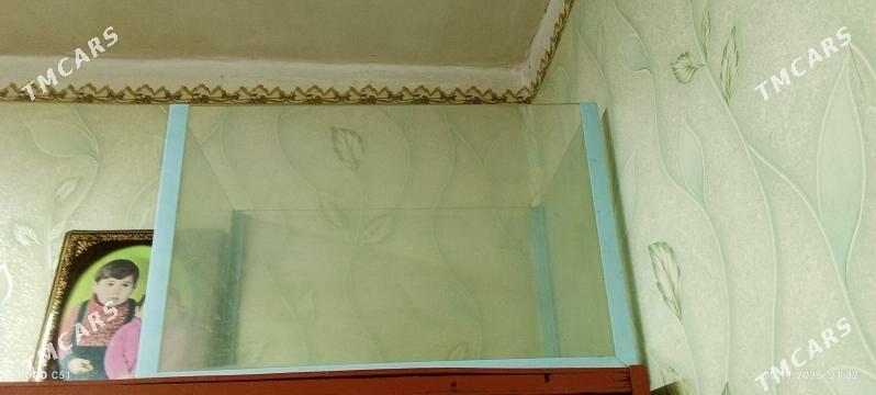 аквариум - Mary - img 2